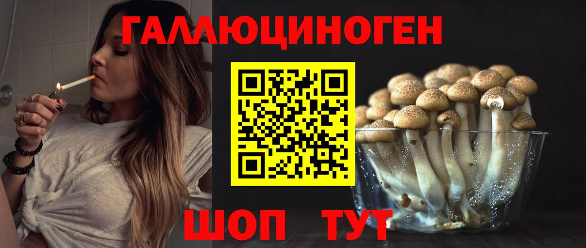 Борисоглебск  Галлюциногенные грибы Psilocybine cubensis  Вход с VPN 